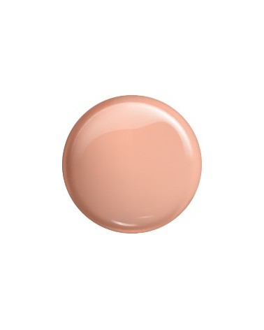 MASTER GEL 06 Cover Nude 60g